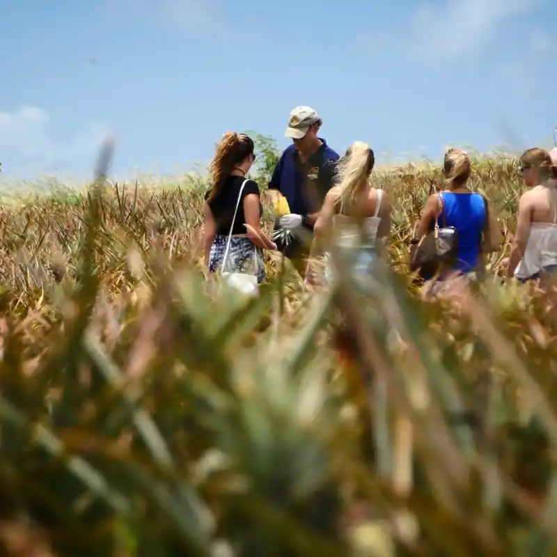 a group of people in a field