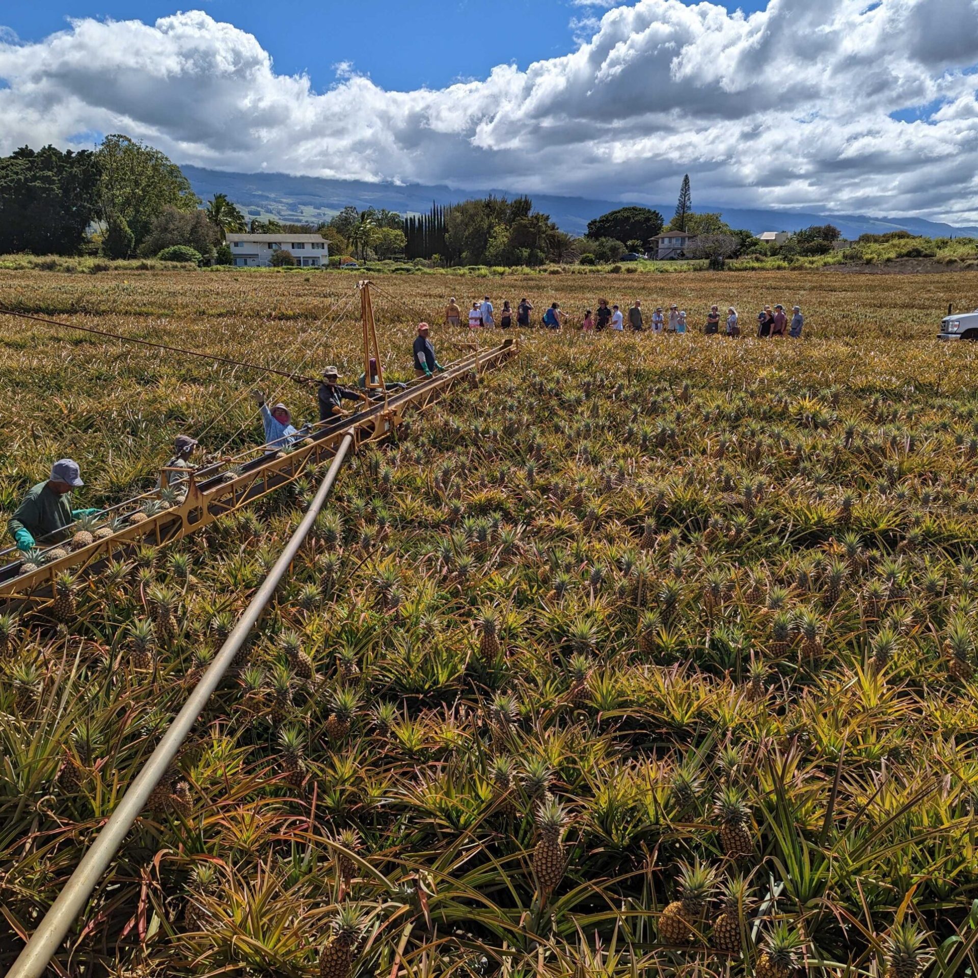 a group of people in a field