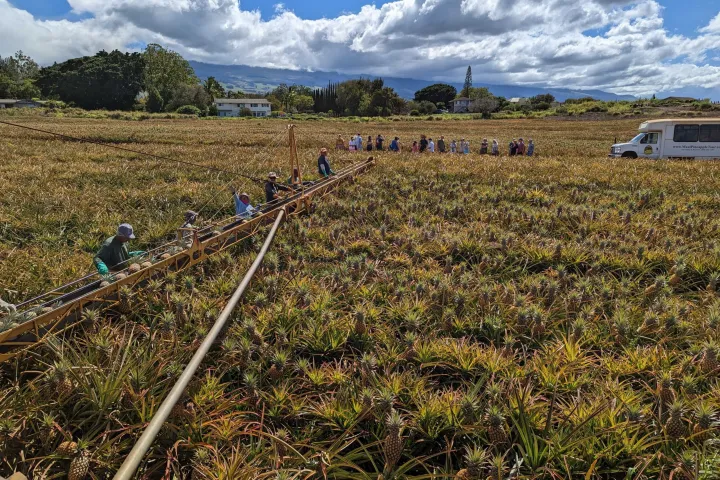 a group of people in a field