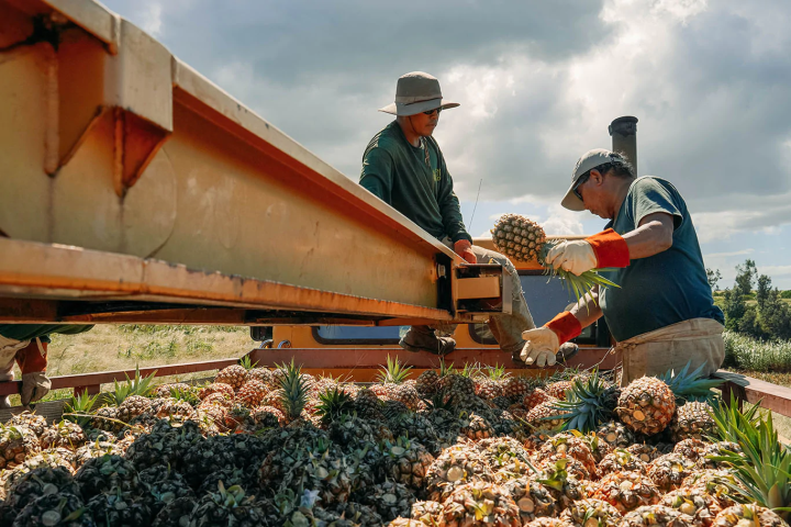 a man sitting on a bench
