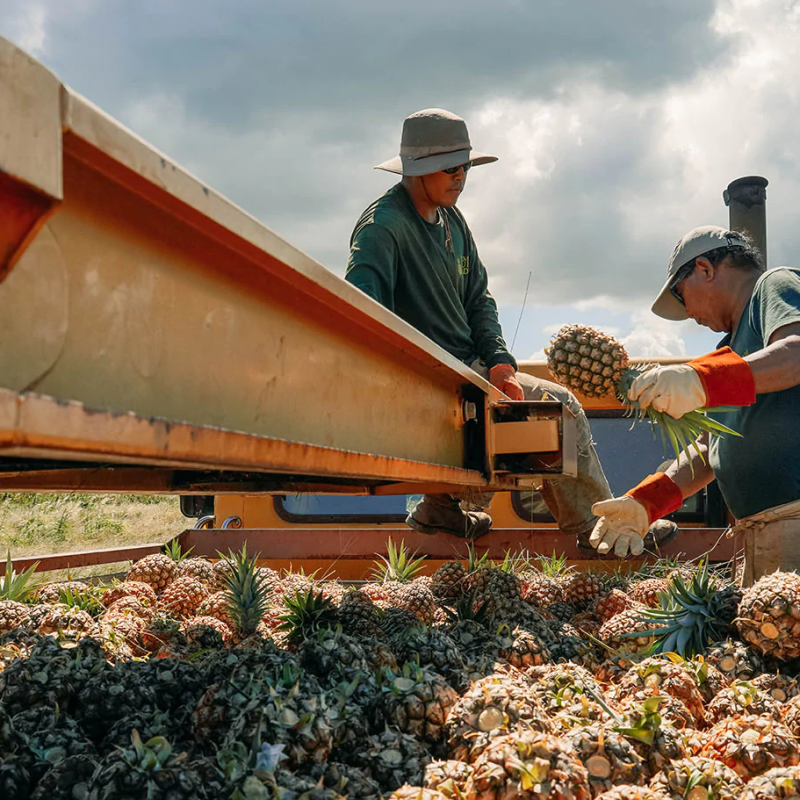 a man sitting on a bench