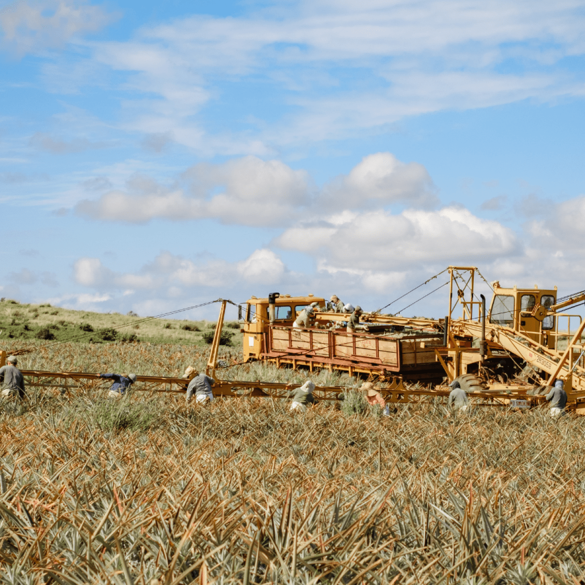 a group of people standing on a dry grass field
