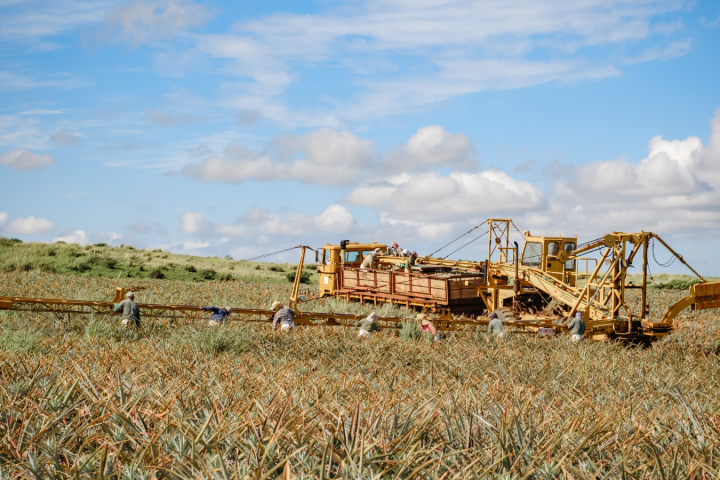 a group of people standing on a dry grass field