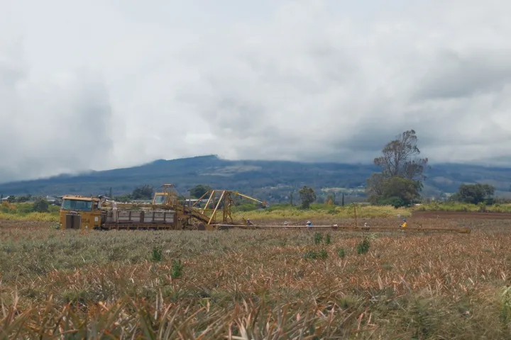 a group of men on a field