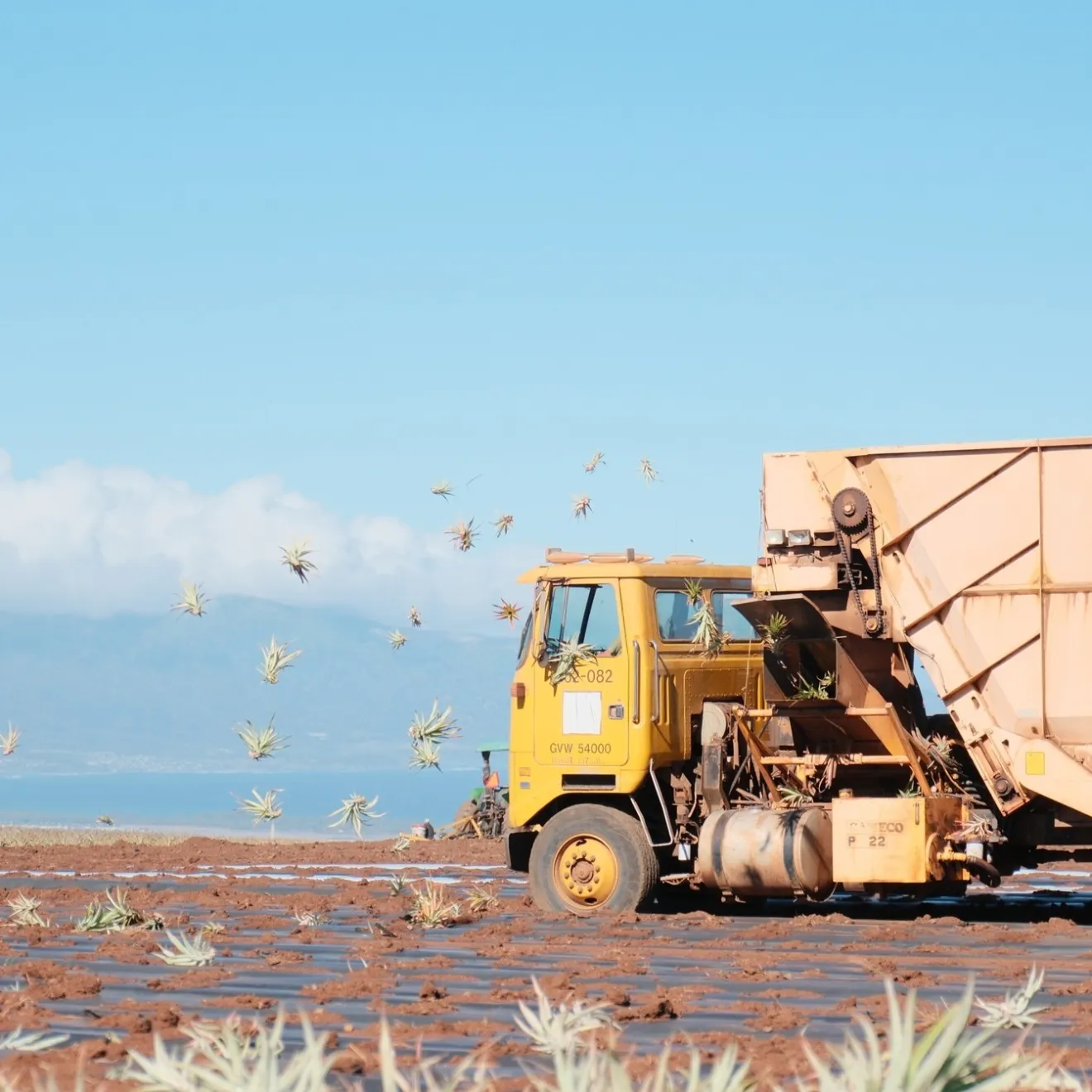 a truck driving down a dirt road