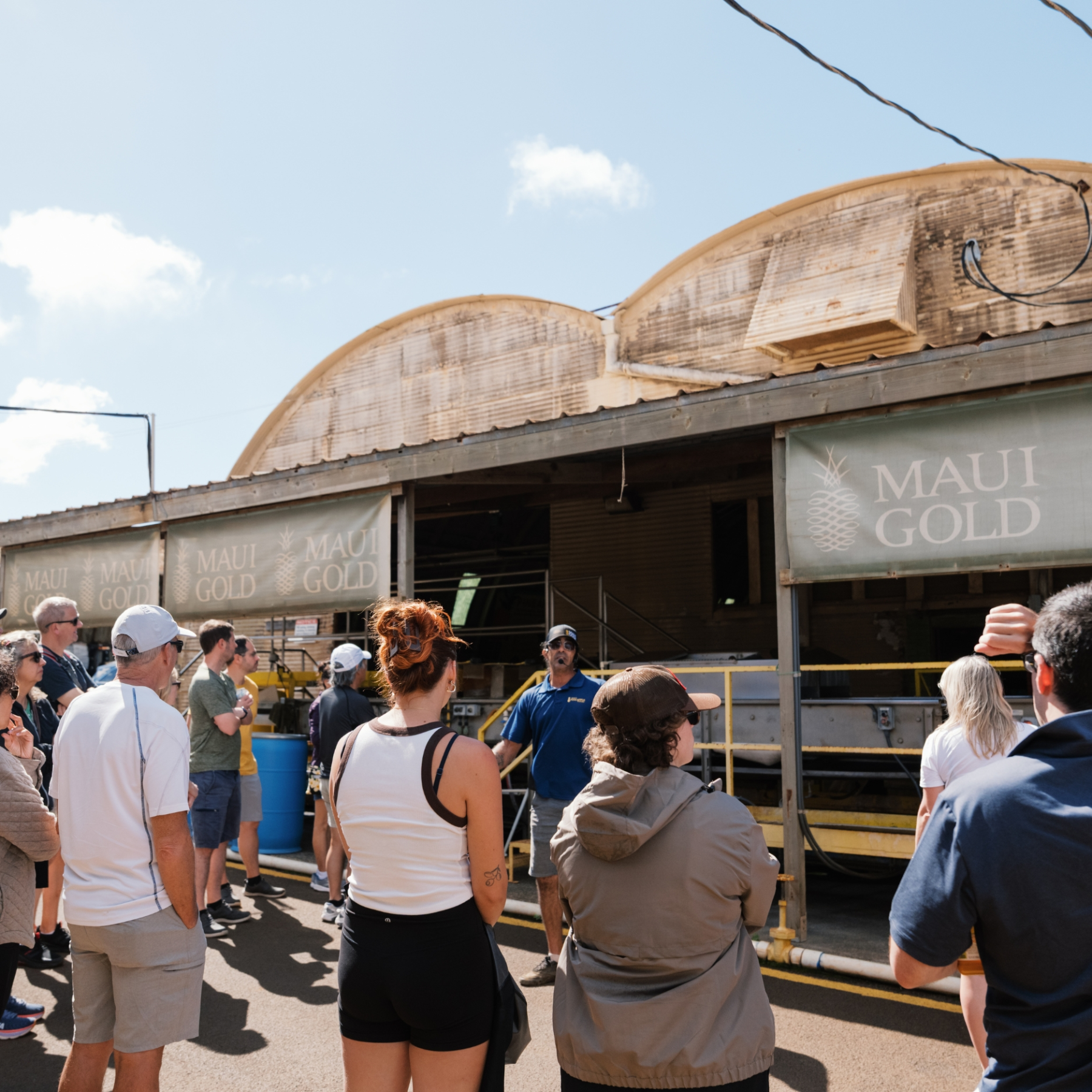 Group of people on a factory tour with 'Maui Gold' signs above them.