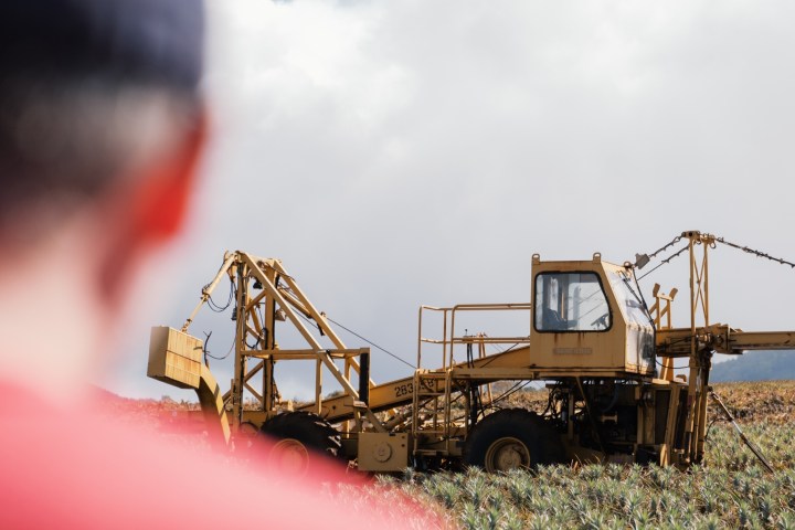 Person in foreground watching a large harvesting machine in a field.