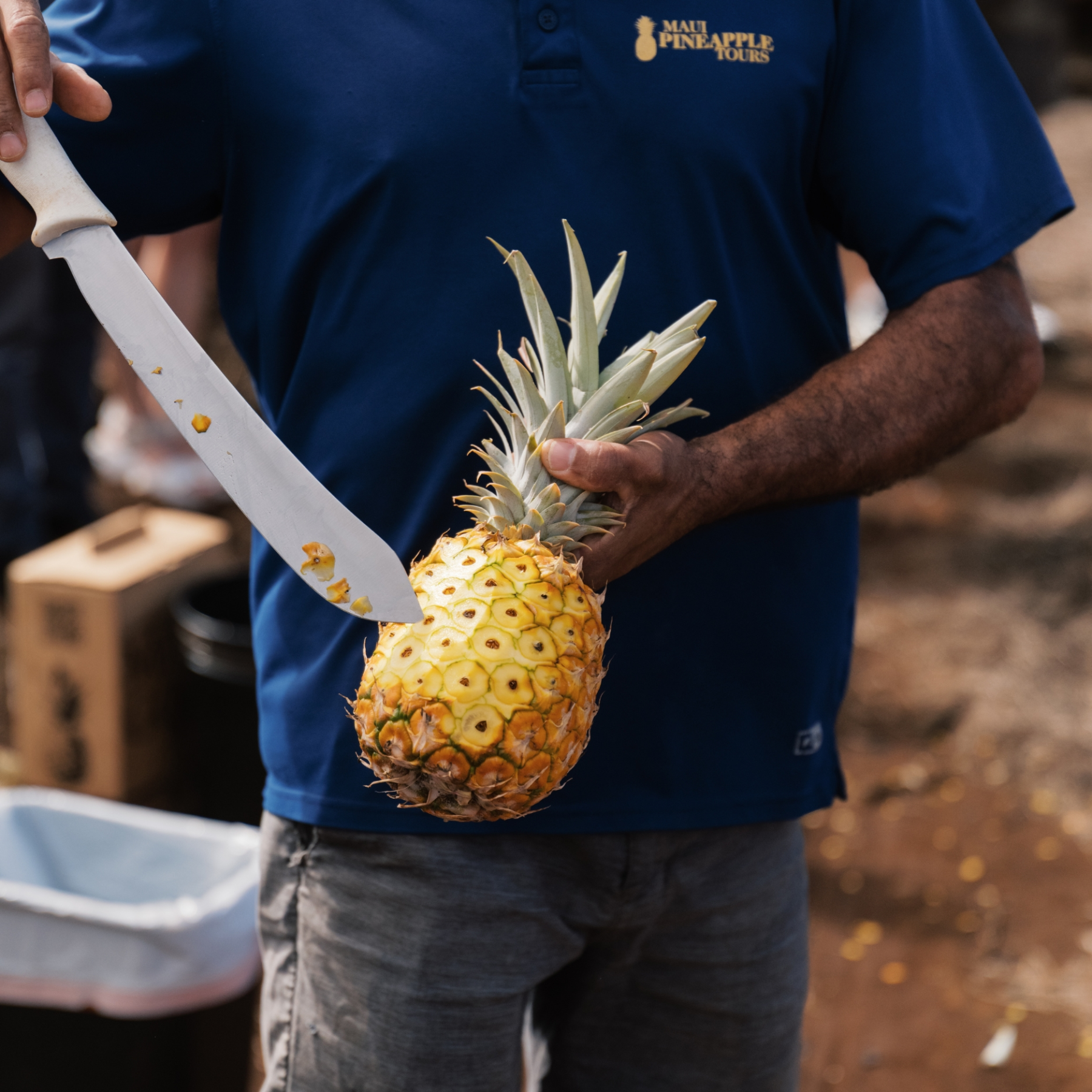 Person in blue shirt cutting a pineapple with a large knife.