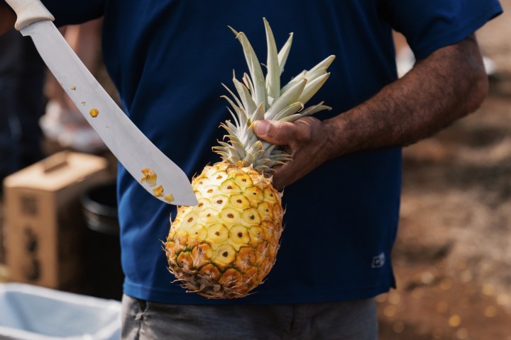 Person in blue shirt cutting a pineapple with a large knife.