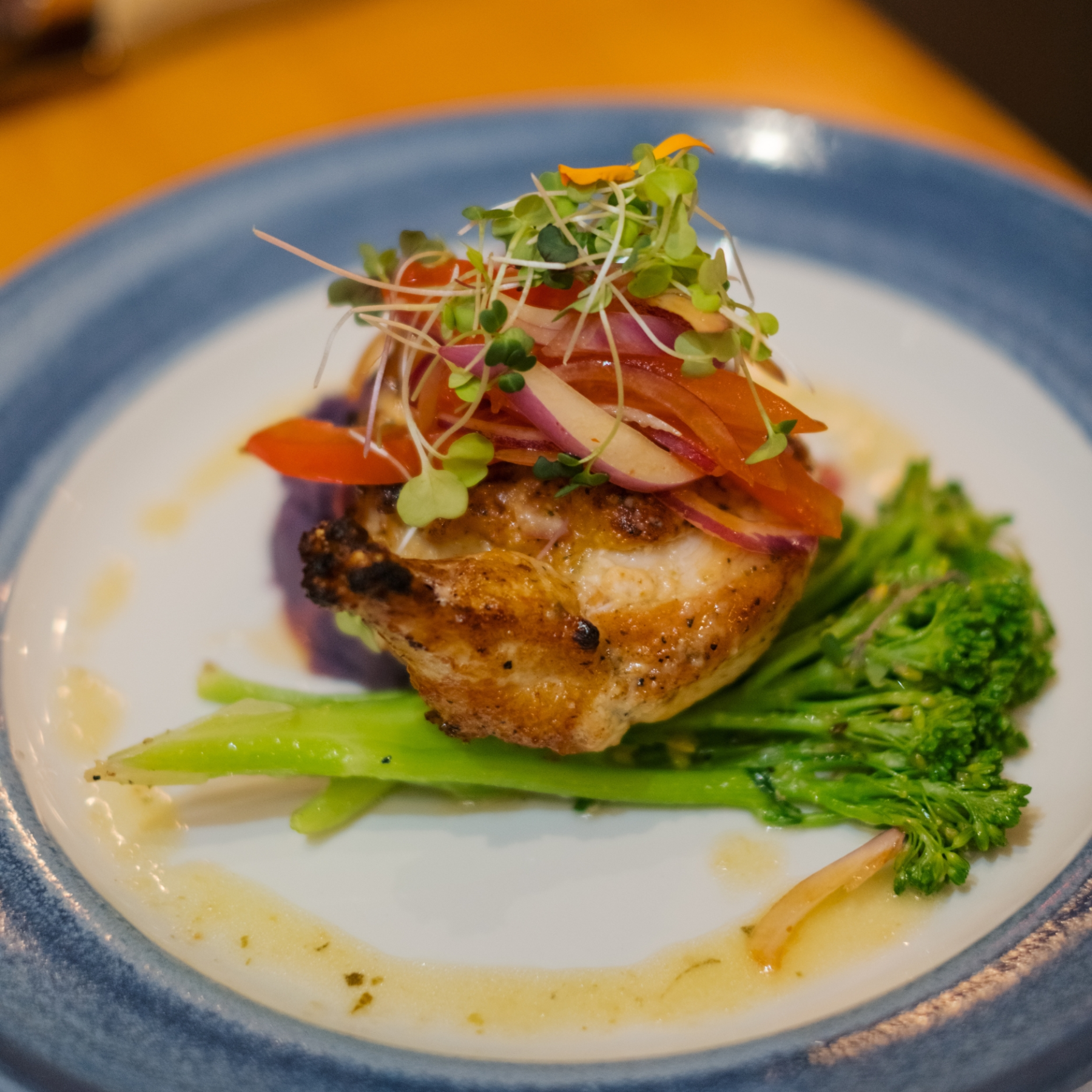 Grilled chicken with microgreens and sliced vegetables on broccolini, served on a white plate with blue rim.