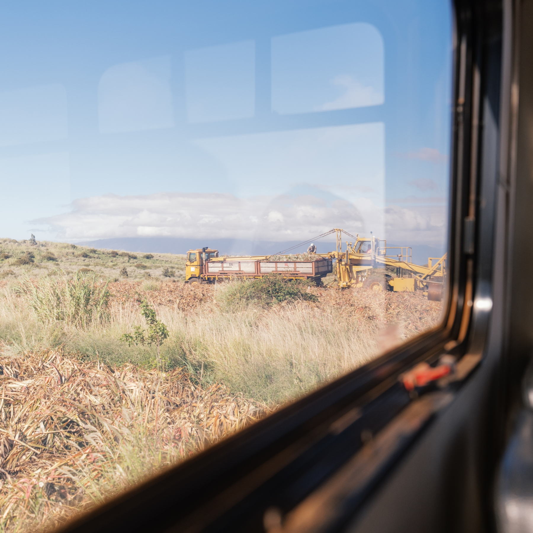 View of harvesting machinery in a field through a window