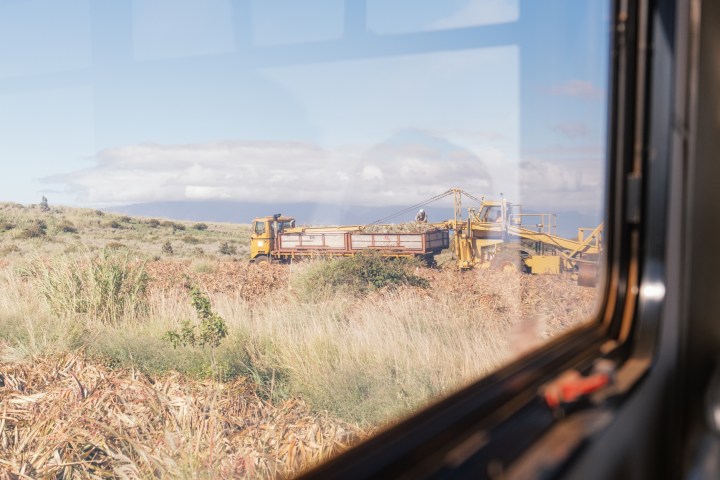View of harvesting machinery in a field through a window