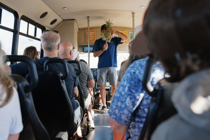 Person in blue shirt holding pineapple while speaking to bus passengers.