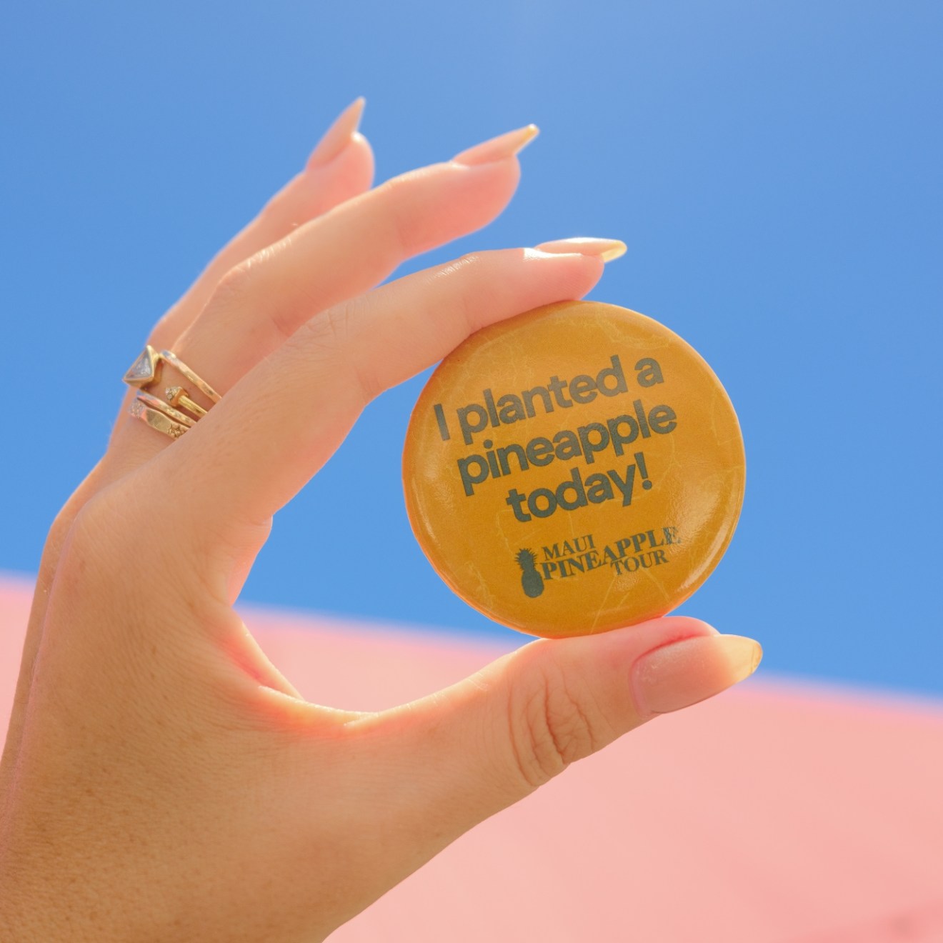 Hand holding a yellow button with 'I planted a pineapple today!' against a clear blue sky.