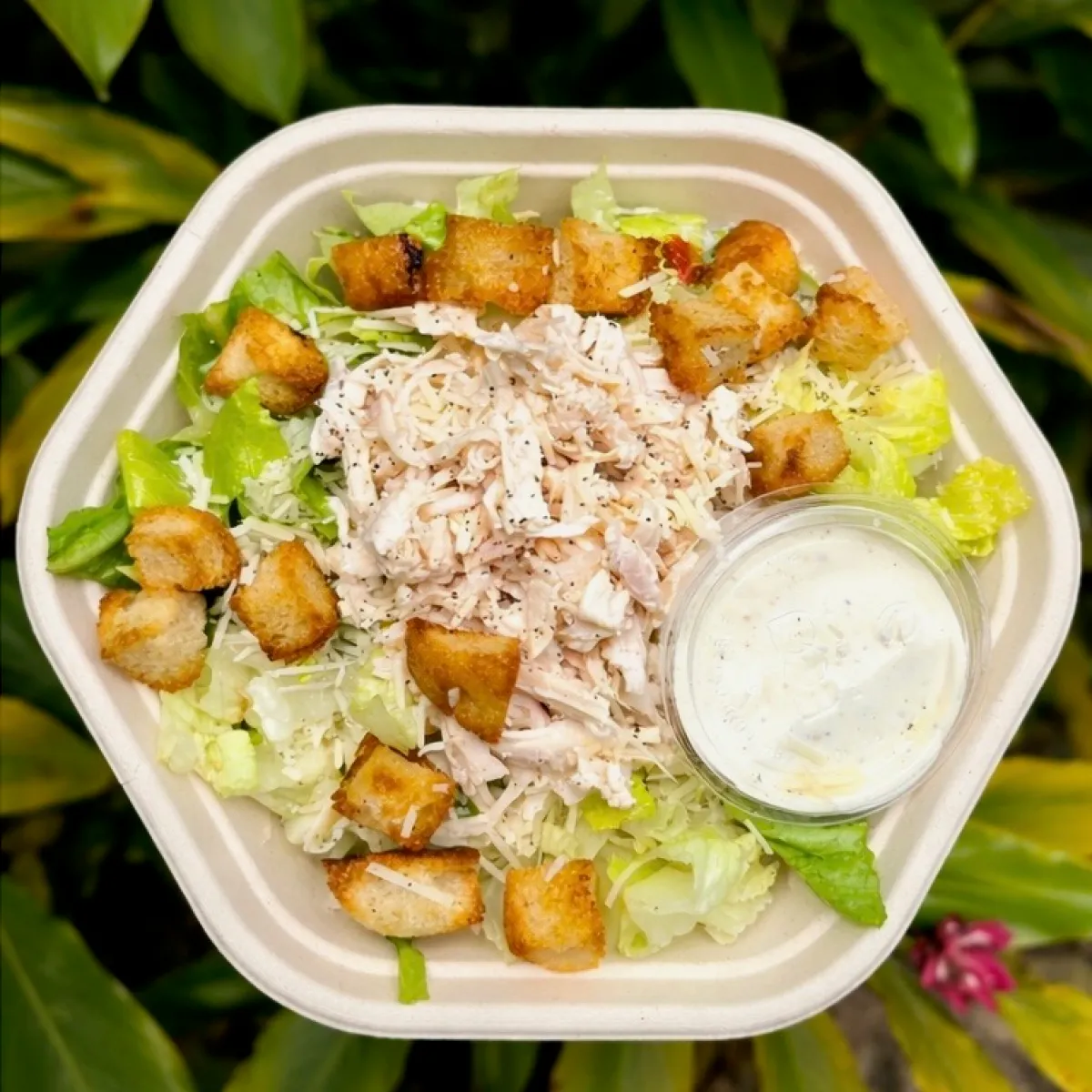 Chicken Caesar salad with croutons in a bowl, dressing on side, on leafy background.