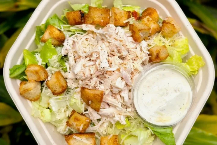 Chicken Caesar salad with croutons in a bowl, dressing on side, on leafy background.
