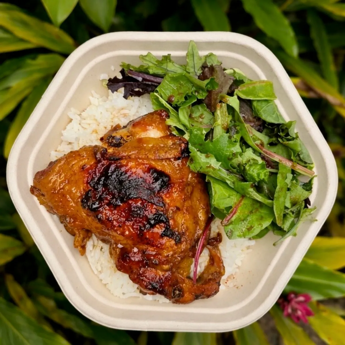 Grilled chicken on rice with mixed greens in a biodegradable container.